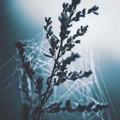 pg棋牌软件平台