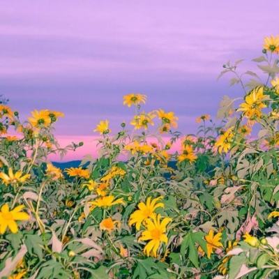 欢迎使用乐鱼App