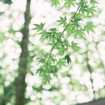 火狐体育下载app手机app下载截图