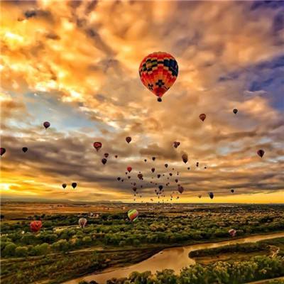 欢迎使用乐鱼App