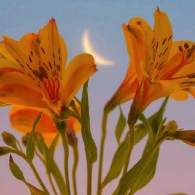 南宫体育app下载